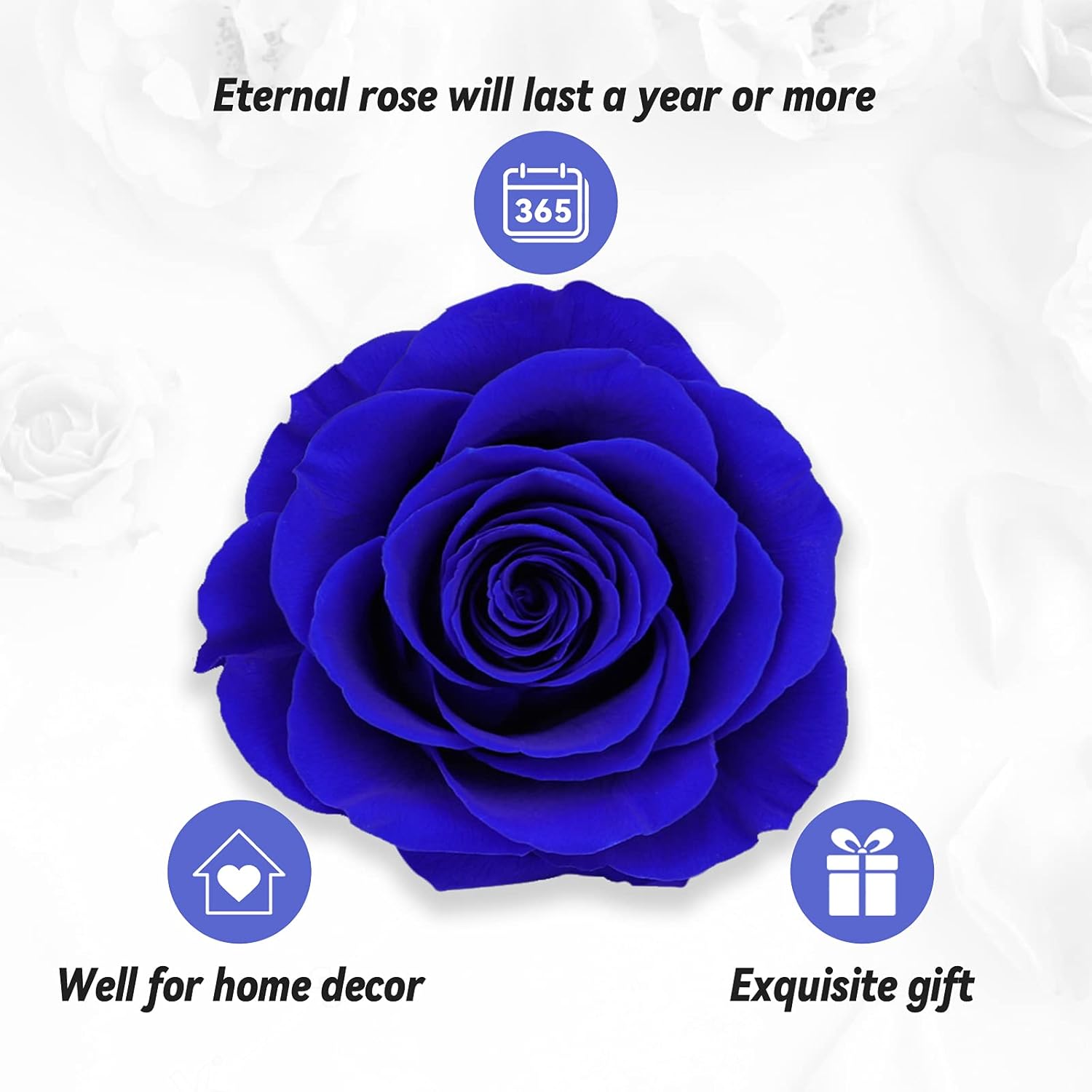 Preserved Real Rose & Cute Necklace - Eternal Rose Box