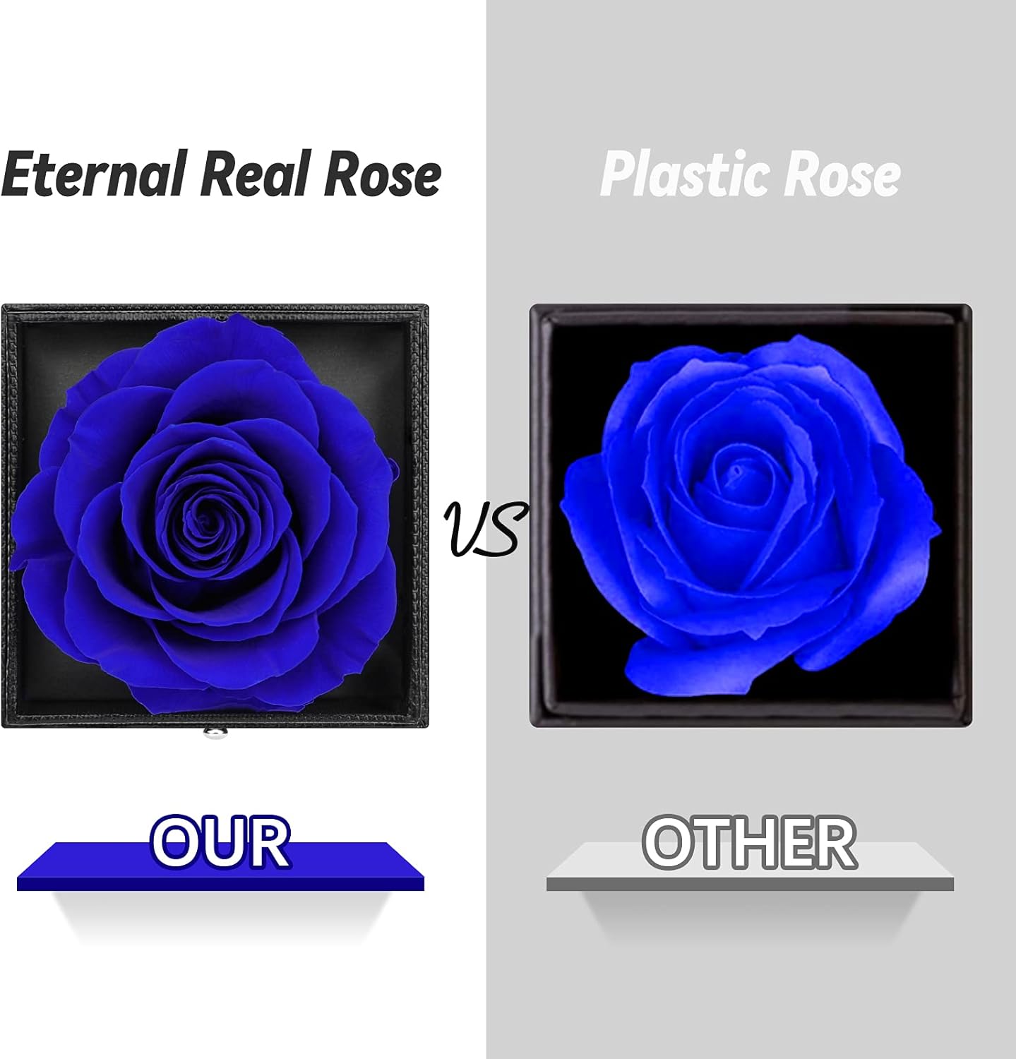 Preserved Real Rose & Cute Necklace - Eternal Rose Box